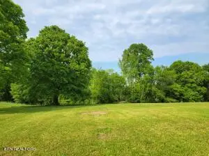 00 Scoggins Lane, Dayton, TN 37321 - #2