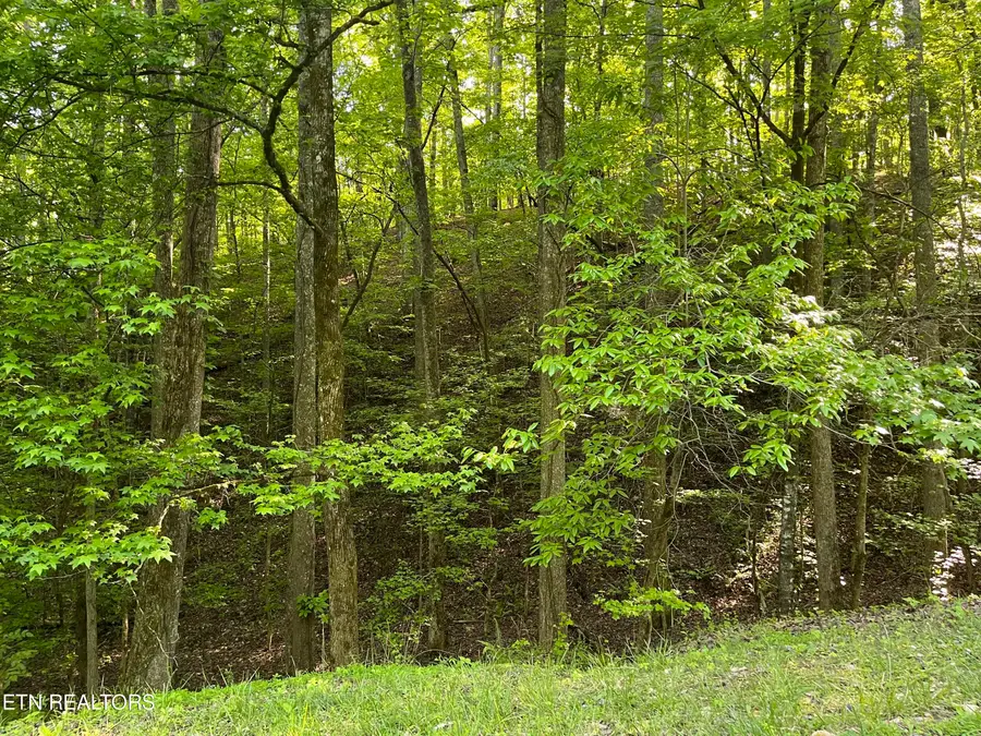 336-342 Omega Drive, Spring City, TN 37381 - #2