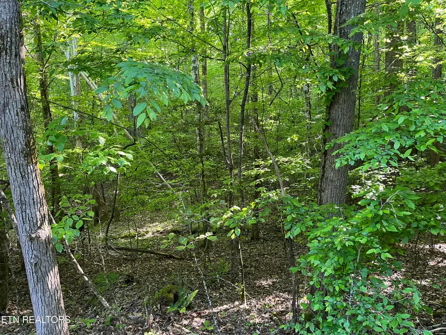 373-375 Beta Drive, Spring City, TN 37381 - #2