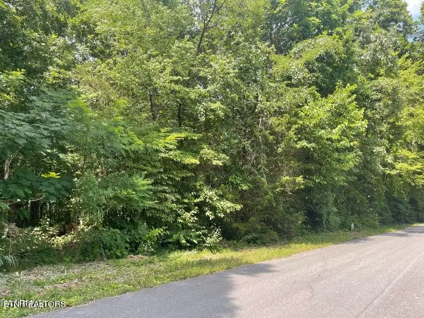 Lot 19 Somerset Lane, Sevierville, TN 37862 - #1