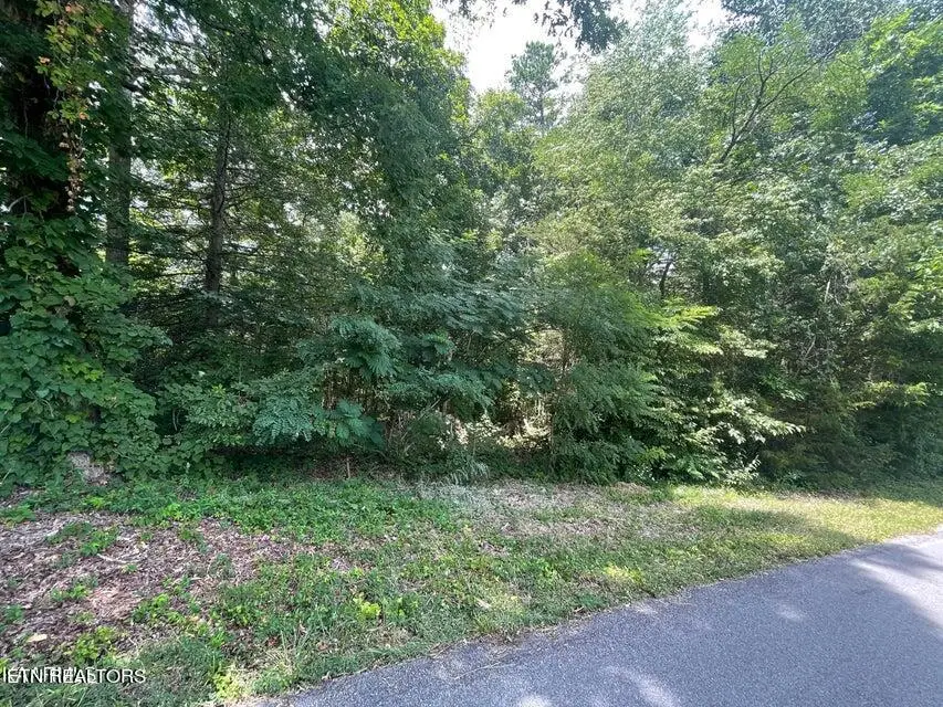 Lot 19 Somerset Lane, Sevierville, TN 37862 - #3