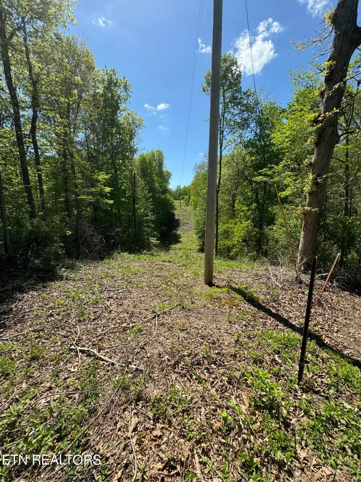 Honey Creek Loop Rd, Robbins, TN 37852 - #1