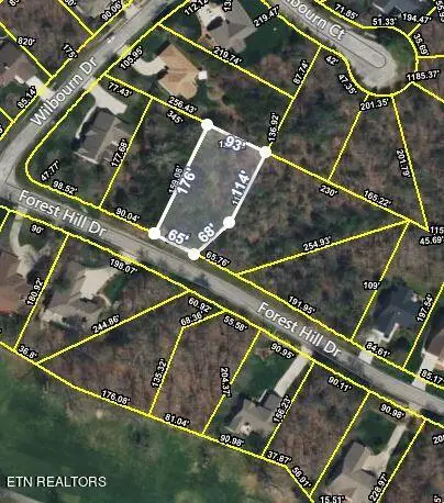 114 Forest Hill Drive, Fairfield Glade, TN 38558 - #2