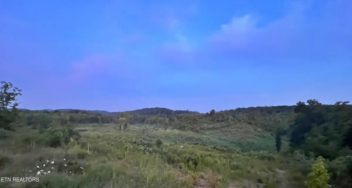 169 County Road 188, Decatur, TN 37322 - #1