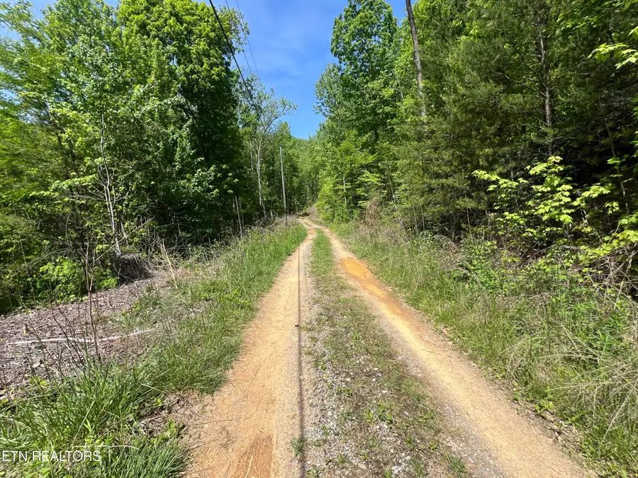 Lot 81 Yellowwod Drive, Sevierville, TN 37876 - #2