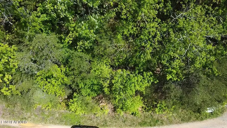 Lot 81 Yellowwod Drive, Sevierville, TN 37876 - #3