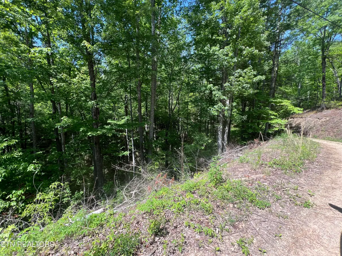 lot 55 Black Oak / Lot 26 Butternut Place, Sevierville, TN 37876 - #1