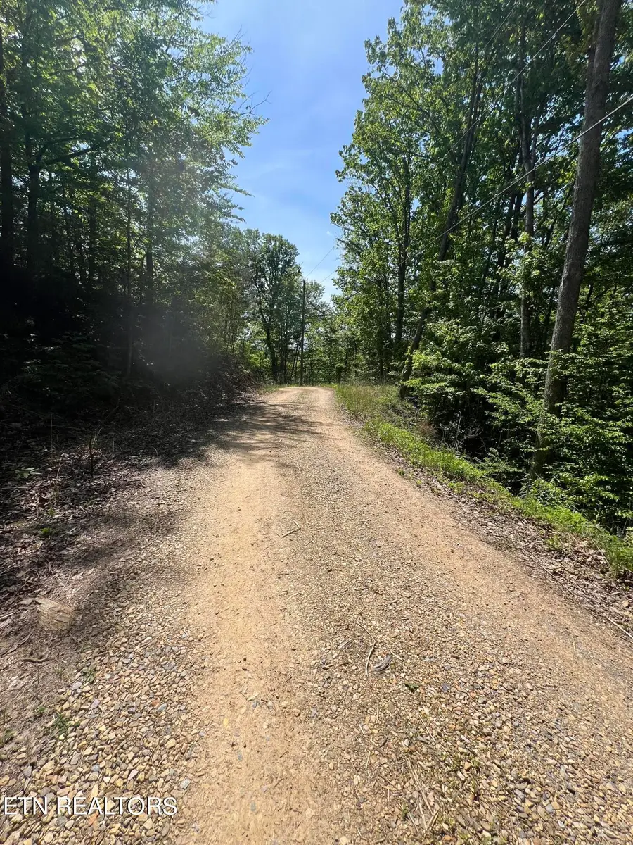 lot 55 Black Oak / Lot 26 Butternut Place, Sevierville, TN 37876 - #3