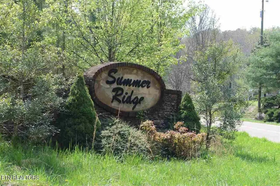 112 Nicole Drive, Dayton, TN 37321 - #2