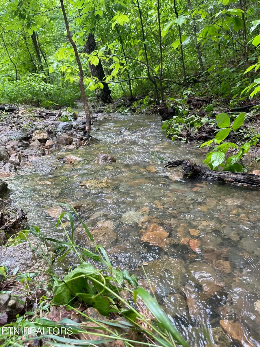 2140 New Hope Rd, Celina, TN 38551 - #3