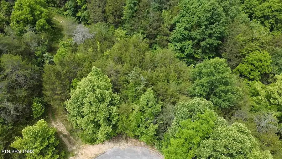 lot 287 Par Place, Tazewell, TN 37879 - #3