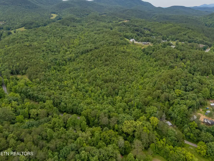 Wiggins Rd, Tellico Plains, TN 37385 - #2