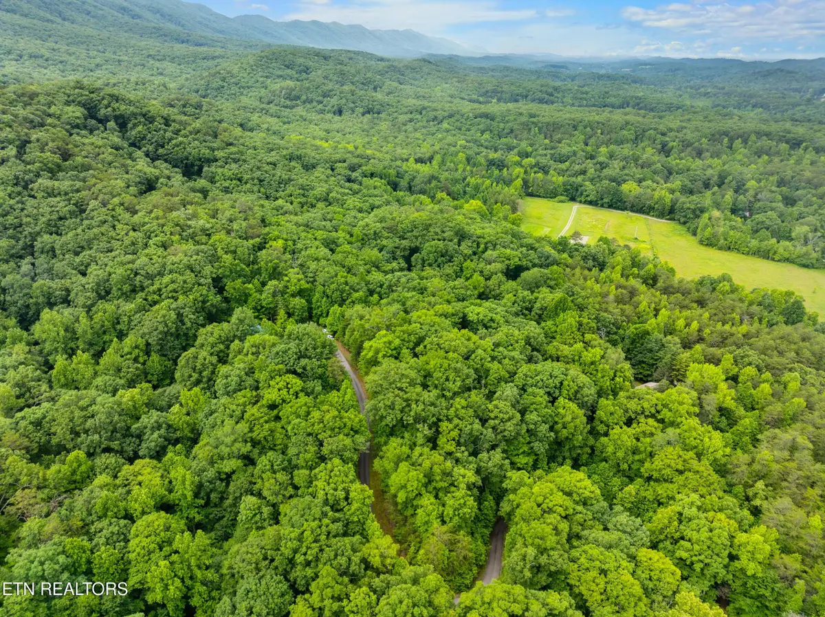 750 Blue Beech Drive, Maryville, TN 37803 - #1