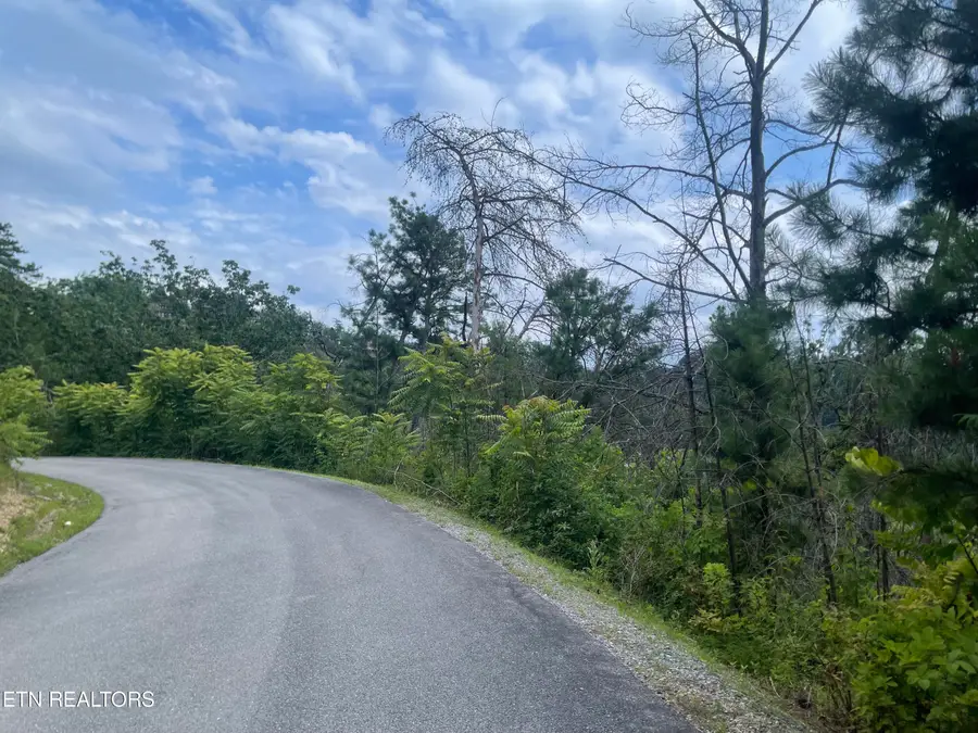 River Birch Way, Sevierville, TN 37862 - #2