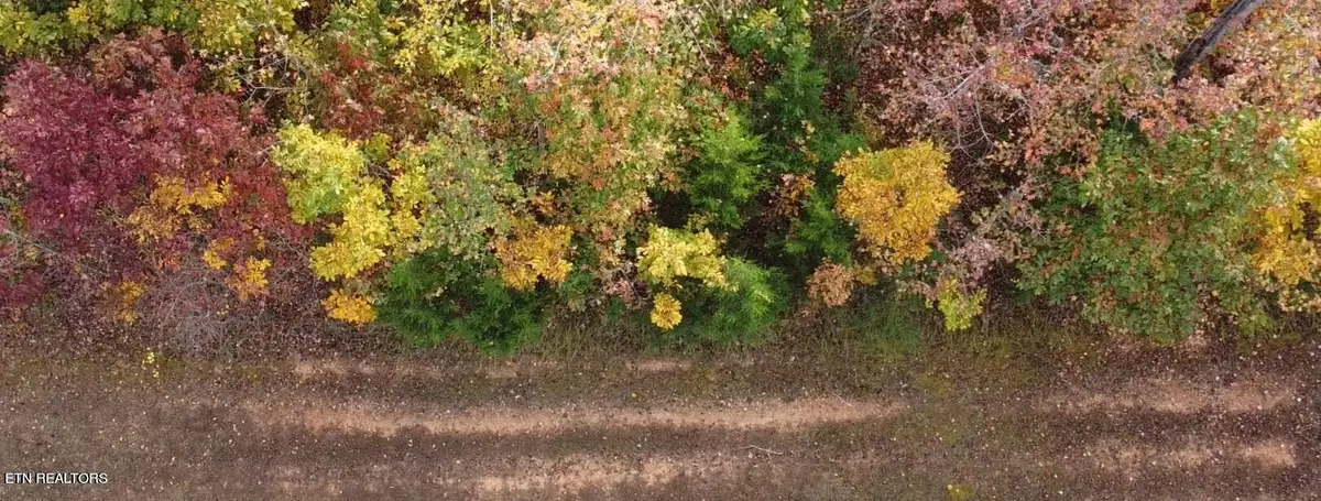 374 Walking Horse Tr, Rockwood, TN 37854 - #1