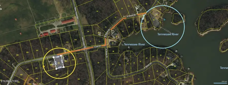 374 Walking Horse Tr, Rockwood, TN 37854 - #3