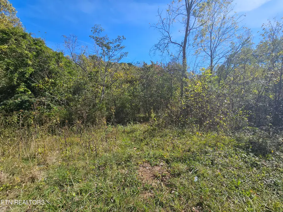 292 Longfield Rd, Rocky Top, TN 37769 - #2