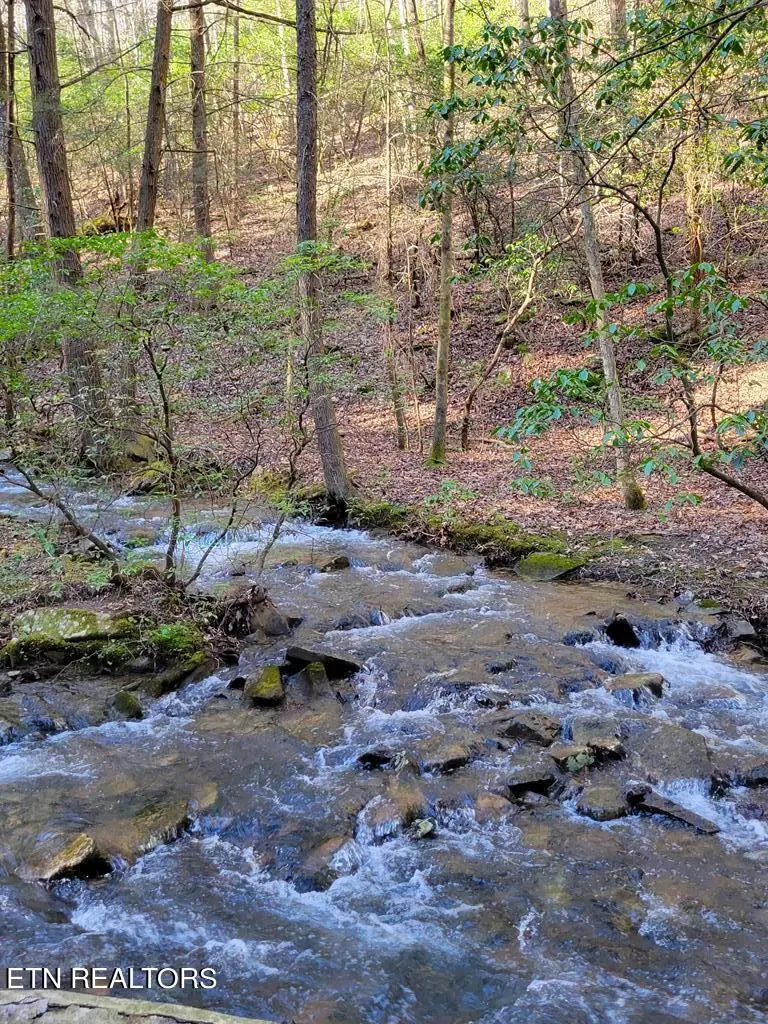 Tall Tree Tr, Dunlap, TN 37327 - #1