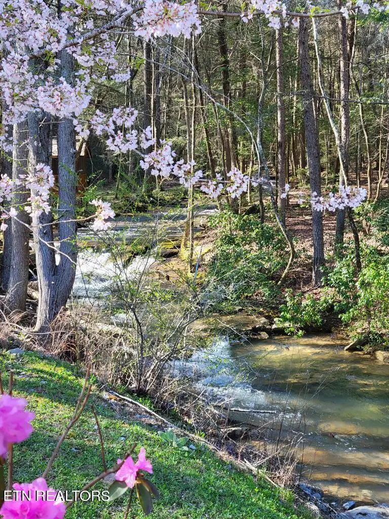 Tall Tree Tr, Dunlap, TN 37327 - #3