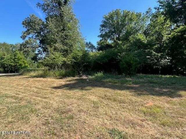 E Shore Drive, Rockwood, TN 37854 - #1