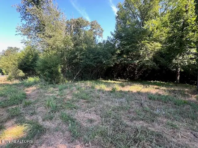 E Shore Drive, Rockwood, TN 37854 - #3