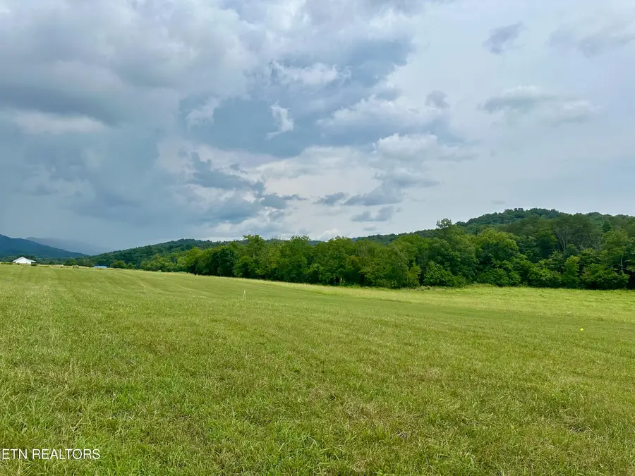 Lot 7 Rutledge Pike, Blaine, TN 37709 - #2