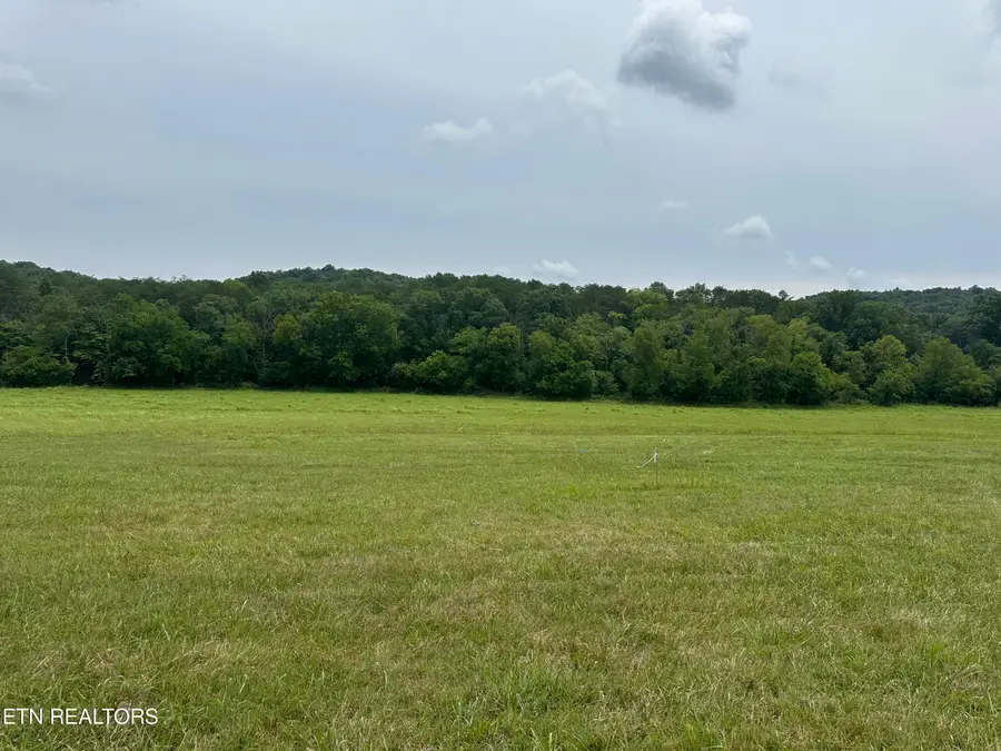 Lot 7 Rutledge Pike, Blaine, TN 37709 - #3