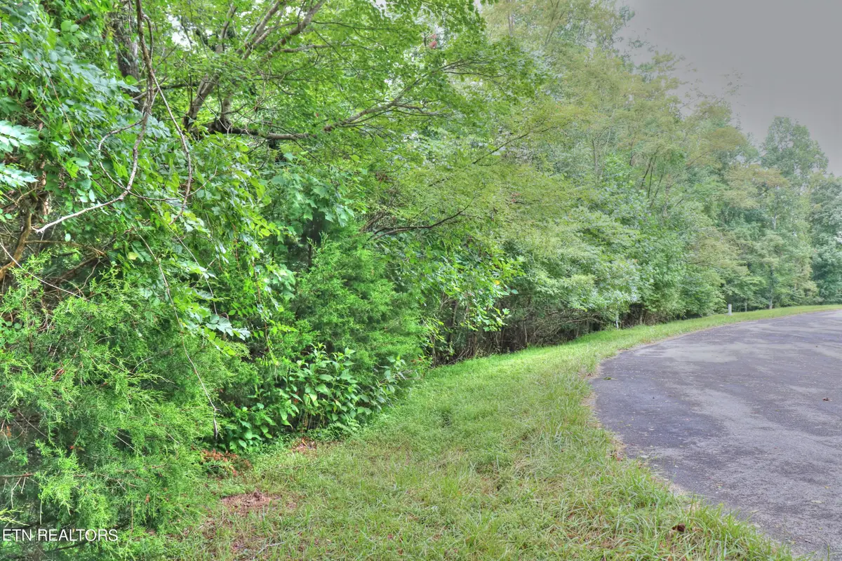 Lot 432 Beryl Court, New Tazewell, TN 37825 - #1