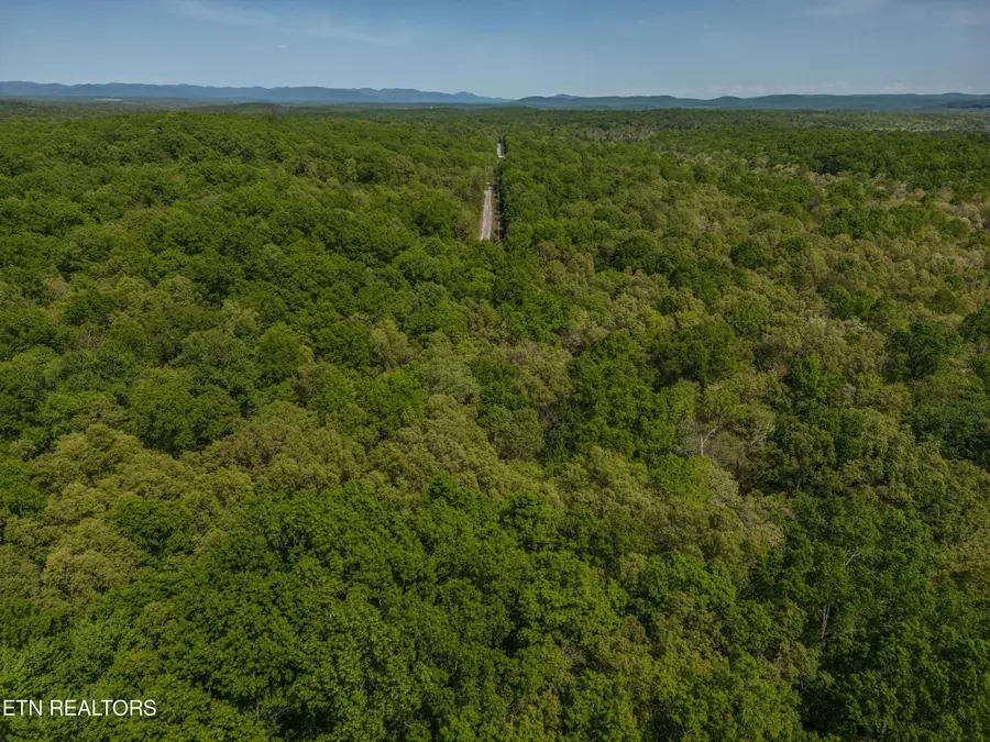 21 Westridge Tr, Monterey, TN 38574 - #3