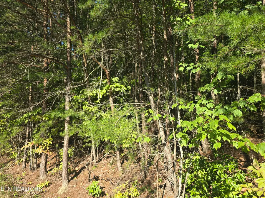 29 Byron Lane, Crossville, TN 38558 - #2