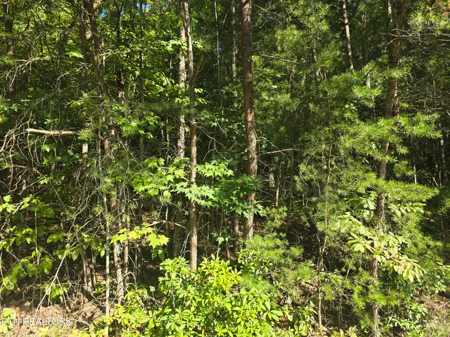 29 Byron Lane, Crossville, TN 38558 - #3