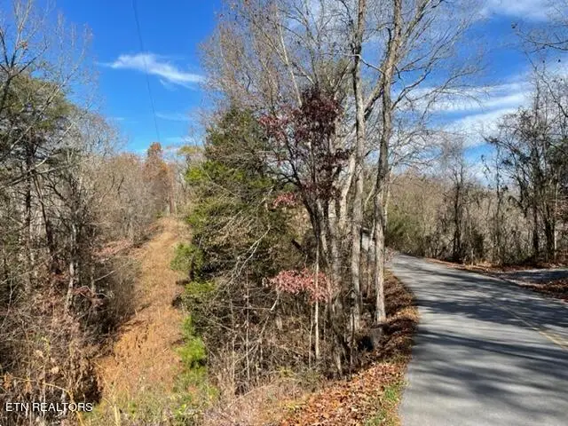 Happy Hollow Lane Lane, Sevierville, TN 37876 - #2