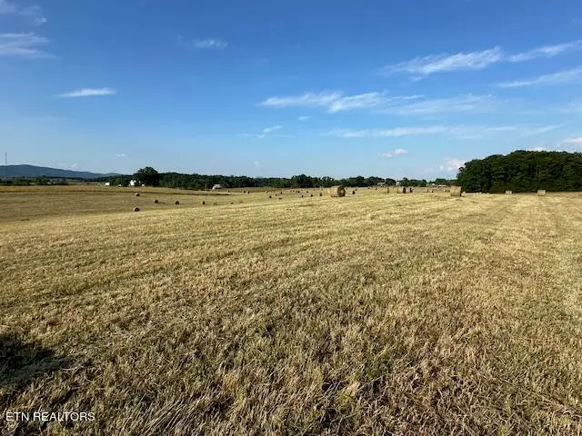 2205 Flatwoods Rd, Mosheim, TN 37818 - #3