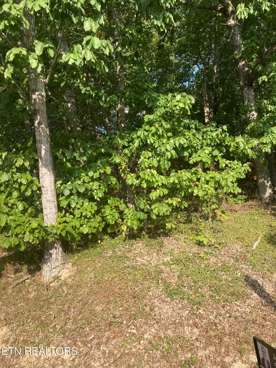 127 Brokenwood Lane, Crossville, TN 38558 - #3