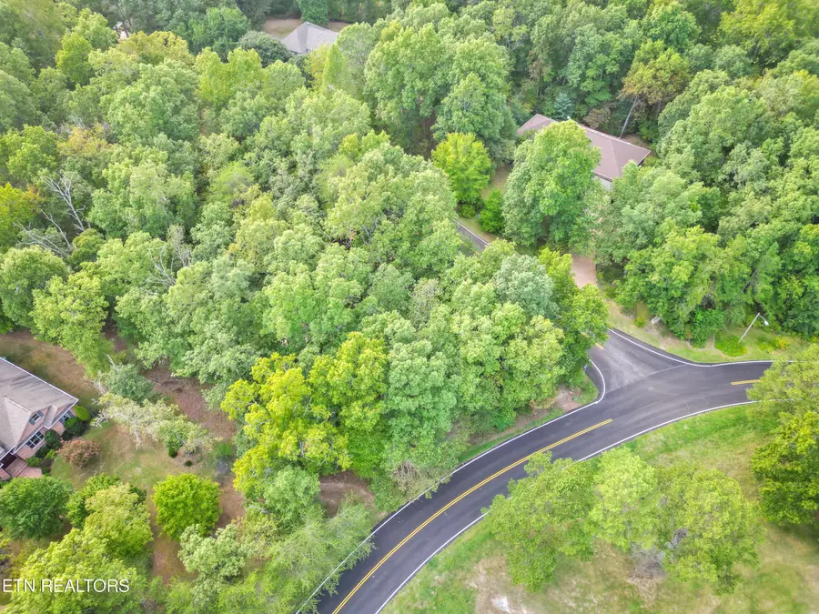 Tennessee Avenue, Crossville, TN 38555 - #3