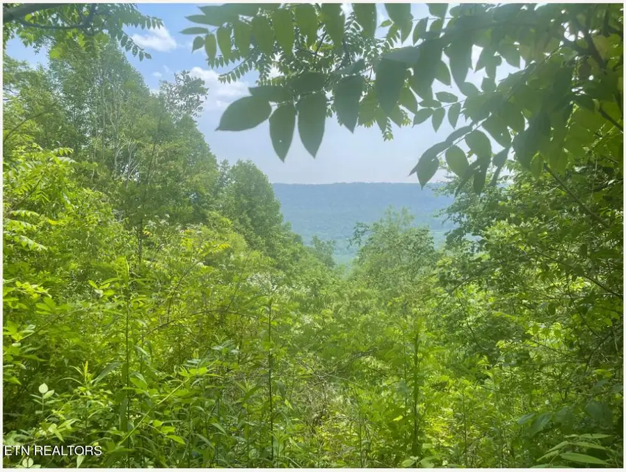 Hatfield Creek Rd, Newcomb, TN 37819 - #3