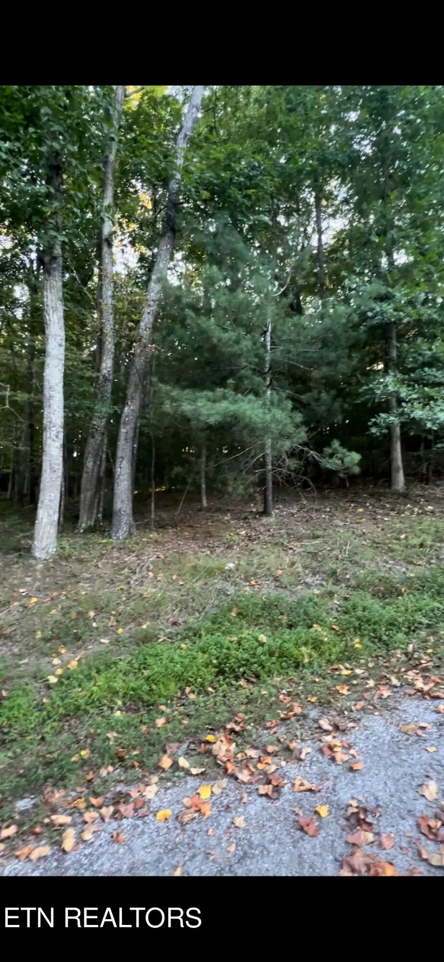 163 Lynhurst Drive, Crossville, TN 38558 - #2