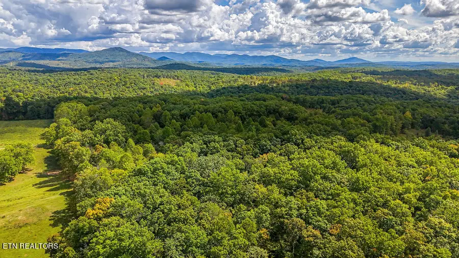 Deer Lodge Hwy, Deer Lodge, TN 37726 - #3