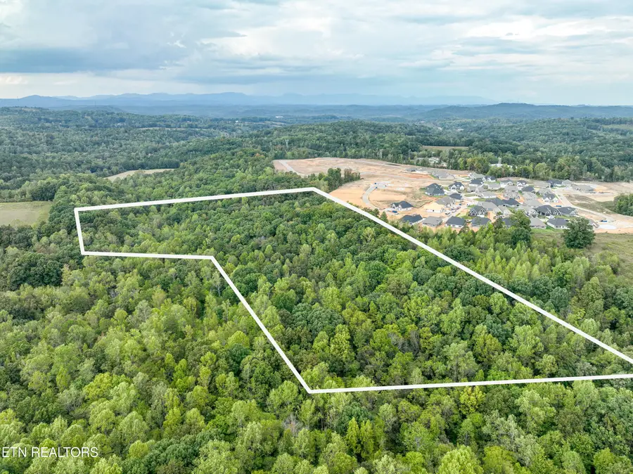 Paw Paw Plains, 23.4 Acres Rd, Lenoir City, TN 37771 - #2