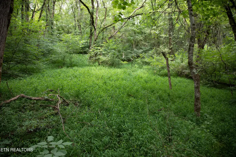 0 Scenic View Drive, Cosby, TN 37722 - #2