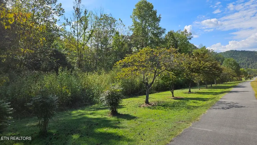 7062 E Lamar Alexander Pkwy, Townsend, TN 37882 - #3