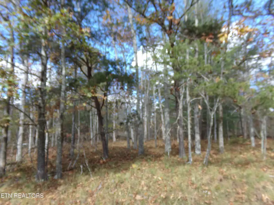 901 Modac Drive, Crossville, TN 38572 - #2