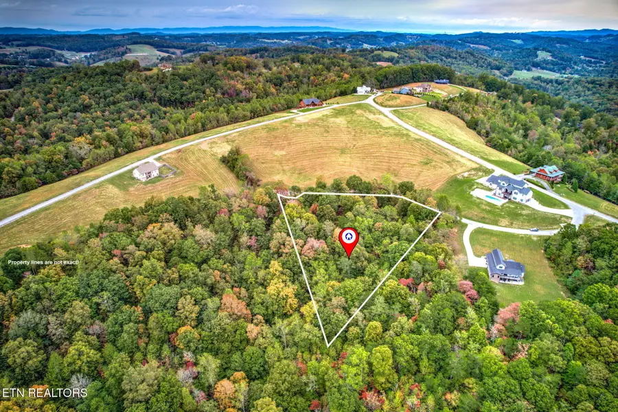 Mica Court Lot 159, New Tazewell, TN 37825 - #2