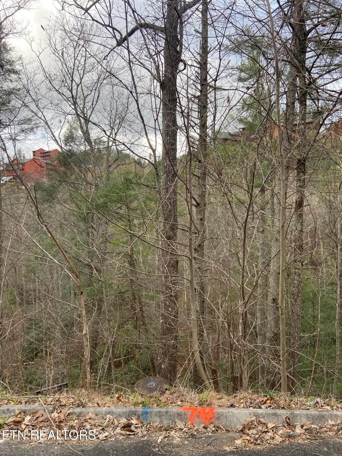 Lot 74 Smoky Ridge Way, Sevierville, TN 37862 - #1