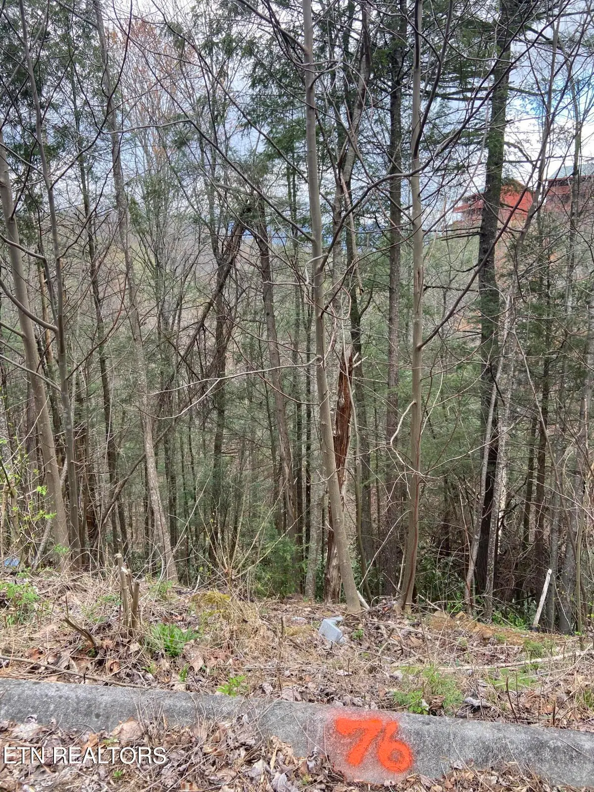 Lot 76 Smoky Ridge Way, Sevierville, TN 37862 - #1