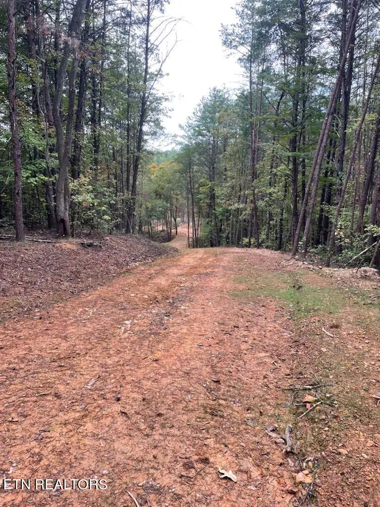 120 Maple Springs Rd, Tellico Plains, TN 37385 - #2