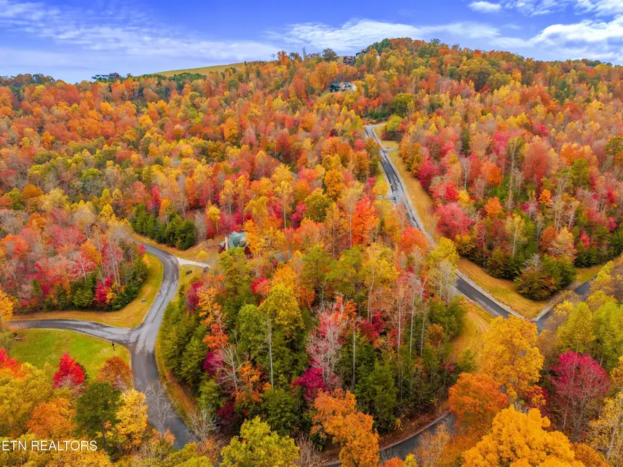 Mystic Star Drive, New Tazewell, TN 37825 - #2