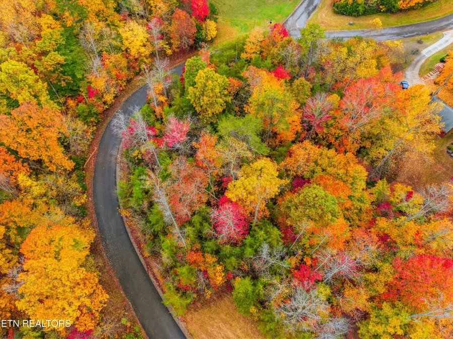 Mystic Star Drive, New Tazewell, TN 37825 - #3