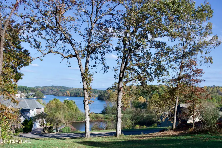 141 Song Sparrow Drive, Vonore, TN 37885 - #2