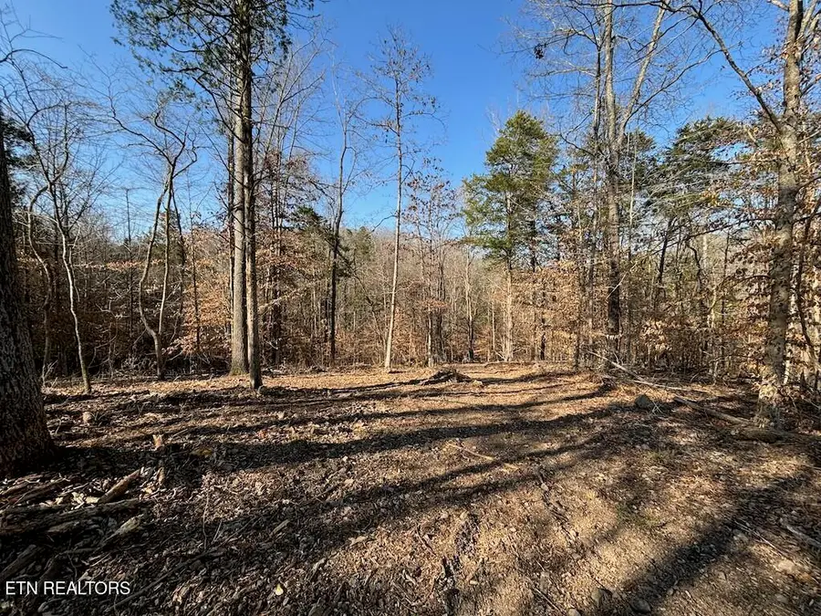 Dogwood Valley Rd | Lot 3, Kingston, TN 37763 - #2